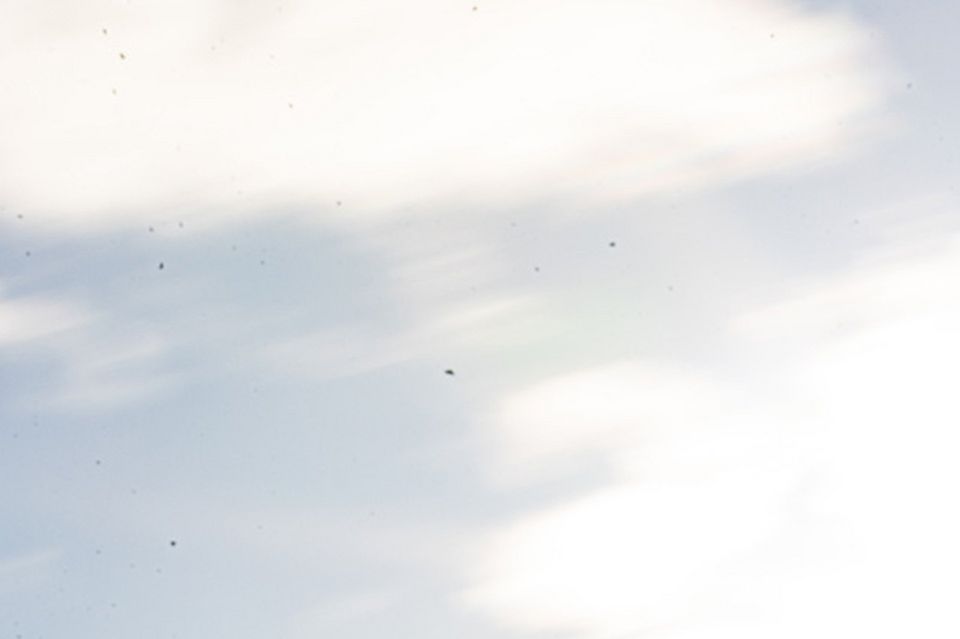 RT: Close-up sideways backlight Side close-up of the Rosenbauer RT against the light.